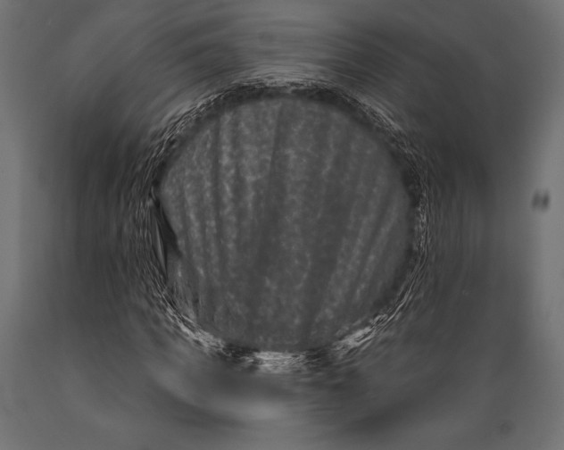 X0000088880917200706291600