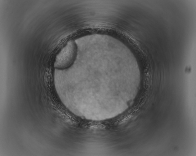 X0000088880918200706291600