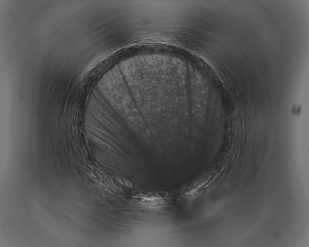 X0000088880919200706291600