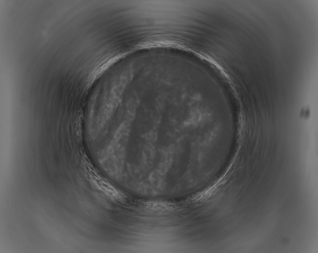 X0000088880921200706291600