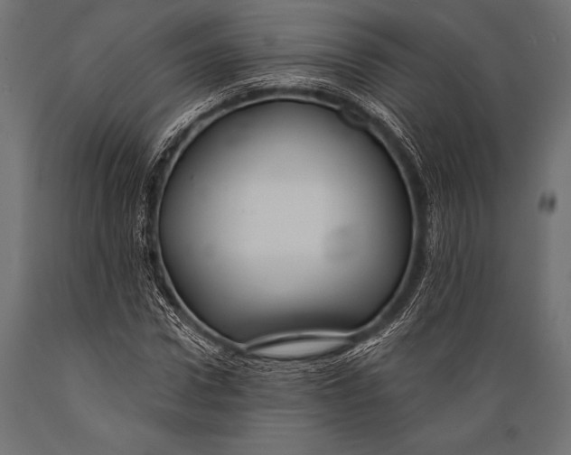 X0000088880922200706291600