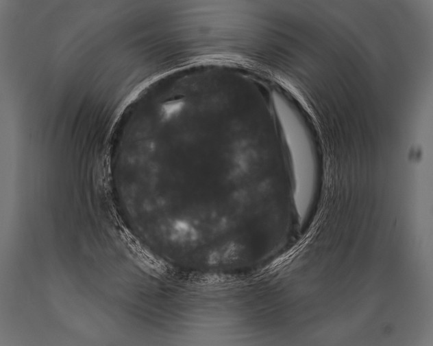 X0000088880923200706291600