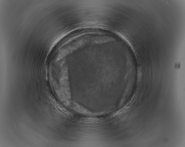 X0000088880925200706291600