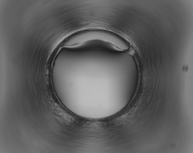 X0000088880926200706291600