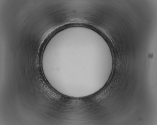 X0000088880927200706291600