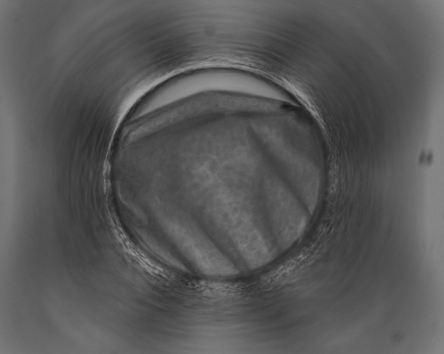 X0000088880928200706291600