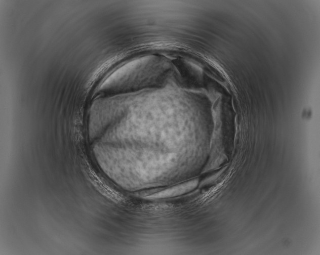 X0000088880930200706291600