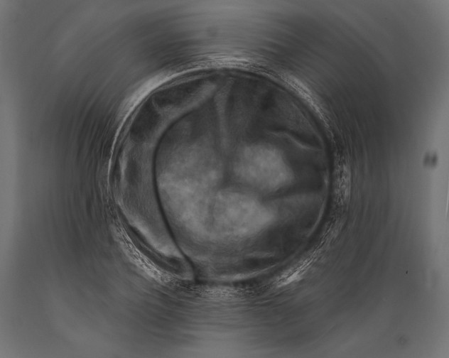 X0000088880932200706291600