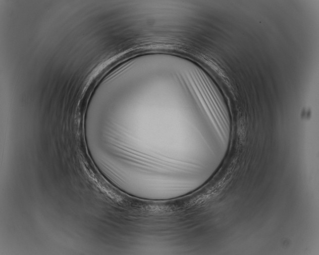 X0000088880933200706291600