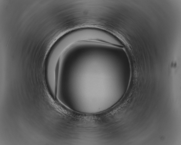 X0000088880934200706291600