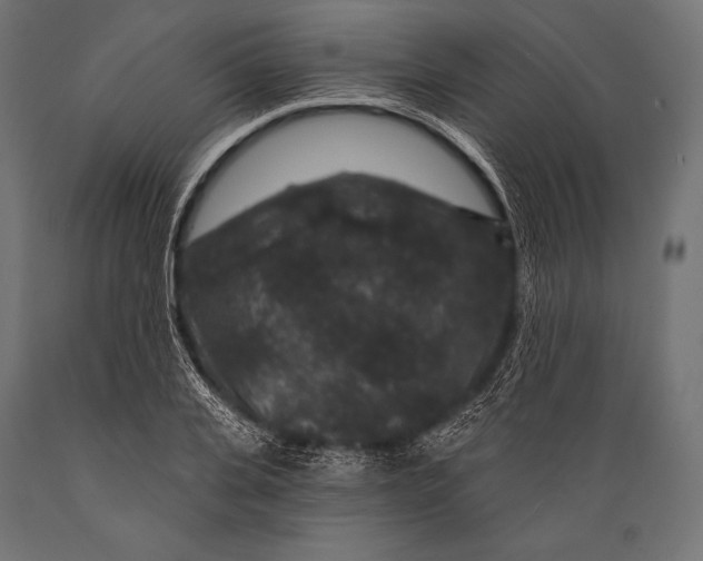 X0000088880935200706291600