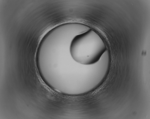 X0000088880936200706291600