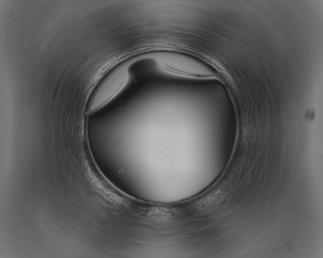 X0000088880938200706291600