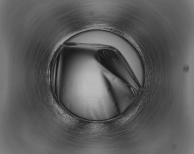 X0000088880939200706291600