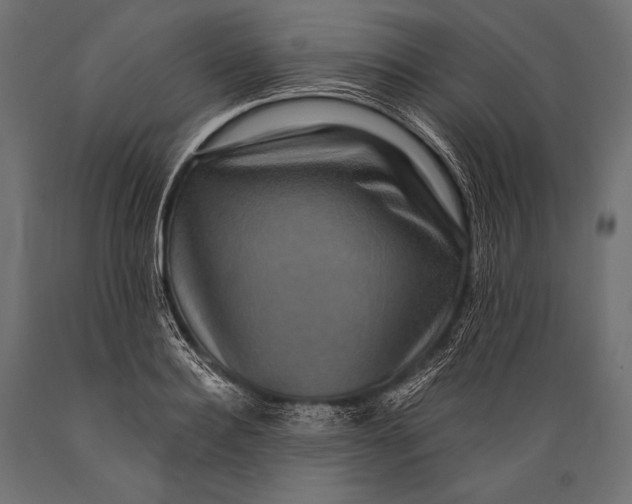 X0000088880940200706291600