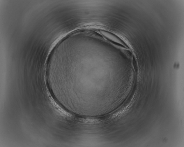 X0000088880941200706291600