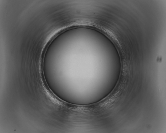 X0000088880942200706291600