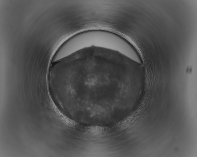 X0000088880943200706291600