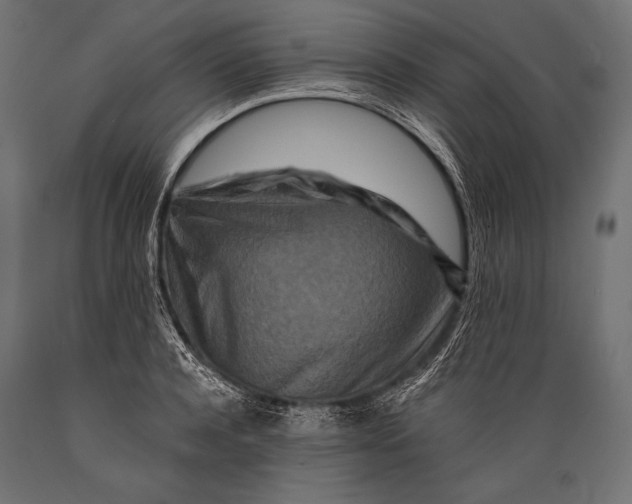 X0000088880944200706291600