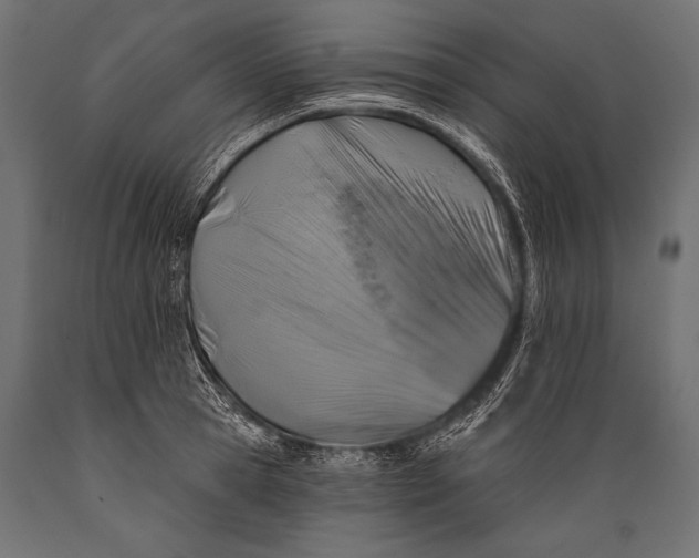 X0000088880945200706291600