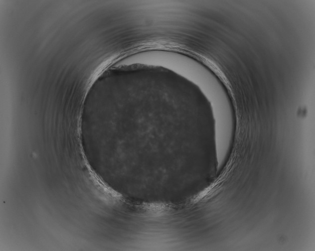 X0000088880946200706291600