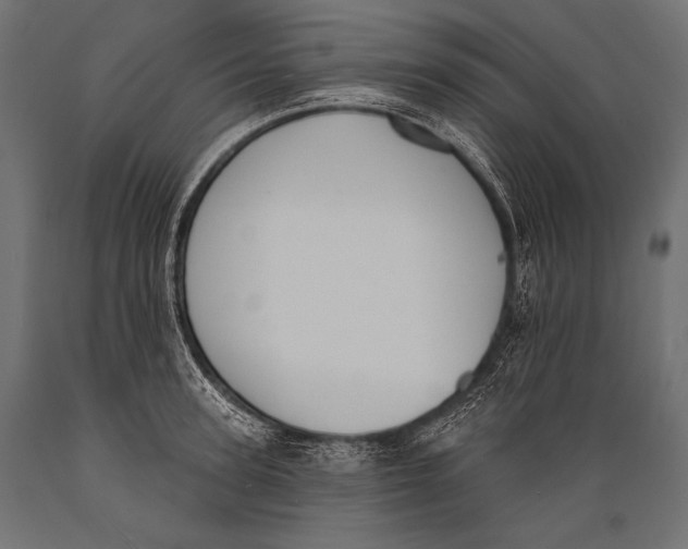 X0000088880947200706291600