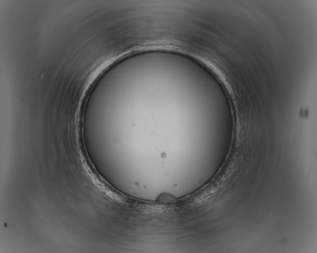 X0000088880949200706291600