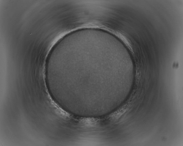 X0000088880950200706291600