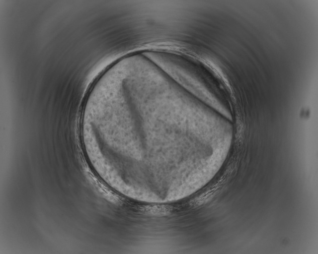 X0000088880952200706291600