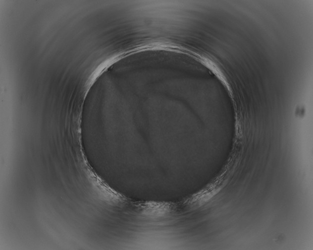 X0000088880954200706291600