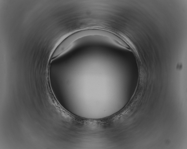 X0000088880956200706291600