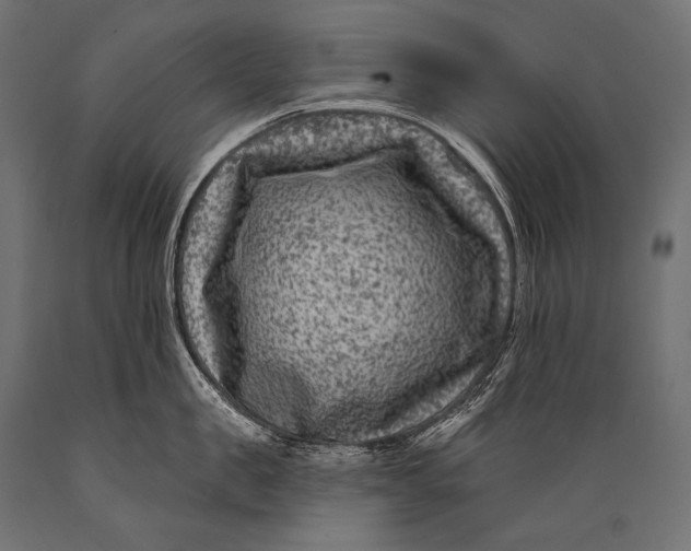 X0000088880957200706291600