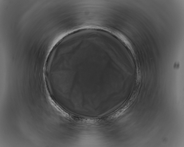 X0000088880958200706291600