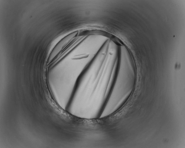 X0000088880960200706291600