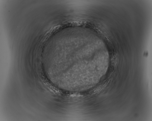 X0000088880961200706291600