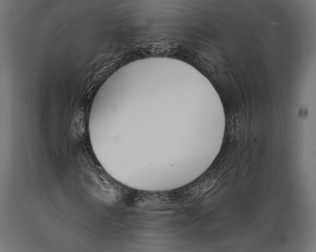 X0000088880962200706291600