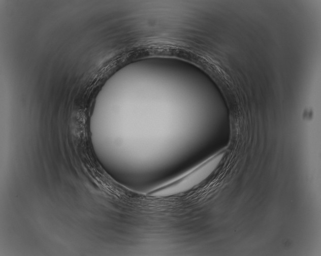 X0000088880964200706291559