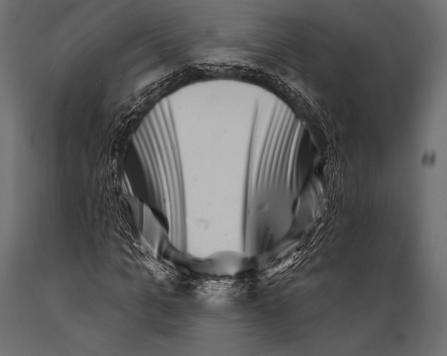 X0000088880965200706291559