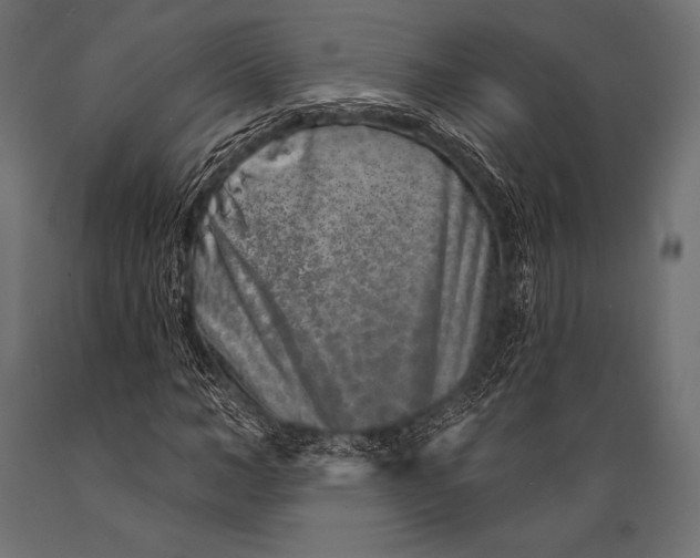 X0000088880966200706291559