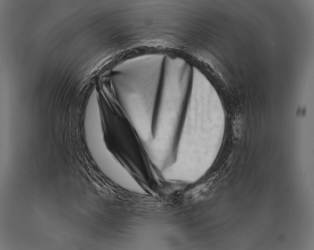 X0000088880968200706291559