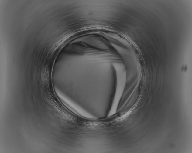 X0000088880969200706291559