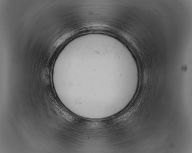 X0000088880970200706291559