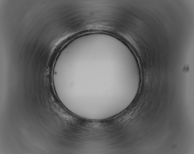 X0000088880971200706291559