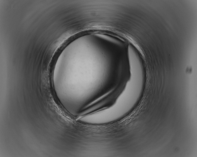 X0000088880972200706291559