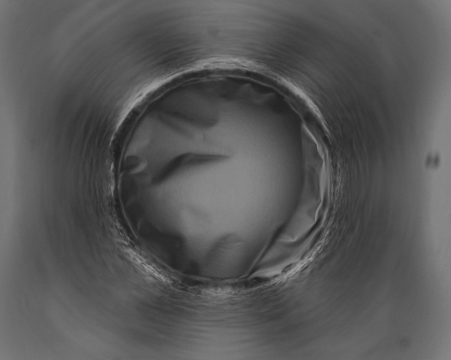 X0000088880973200706291559