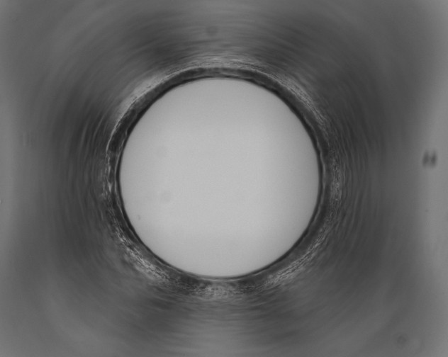 X0000088880974200706291559