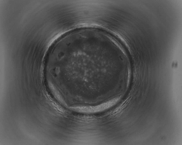 X0000088880975200706291559