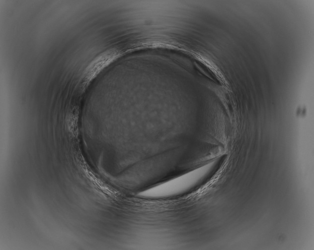 X0000088880977200706291559