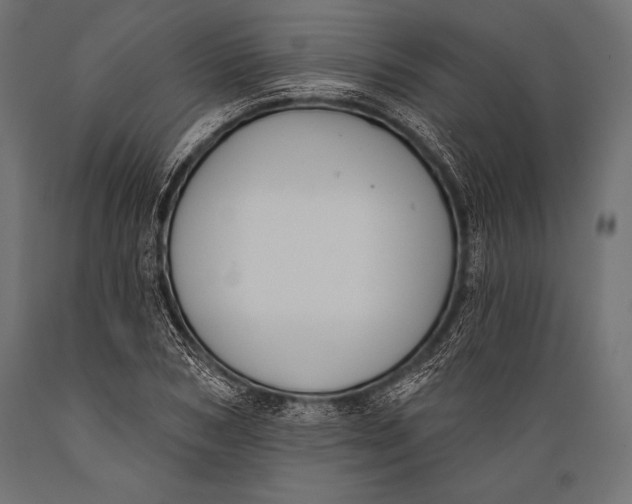 X0000088880978200706291559