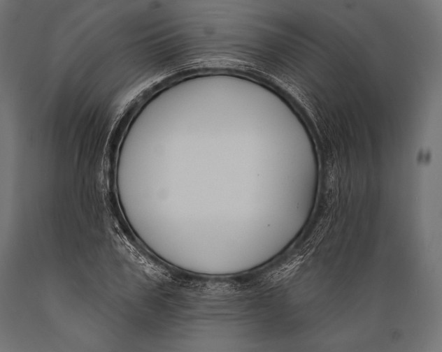 X0000088880979200706291559